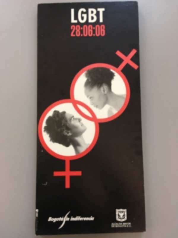 Plegable negro con el texto «LGBT 28:06:06», dos símbolos femeninos entrelazados con dos rostros en blanco y negro, y el lema «Bogotá sin indiferencia».